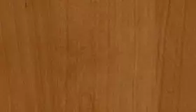 Образец № 42